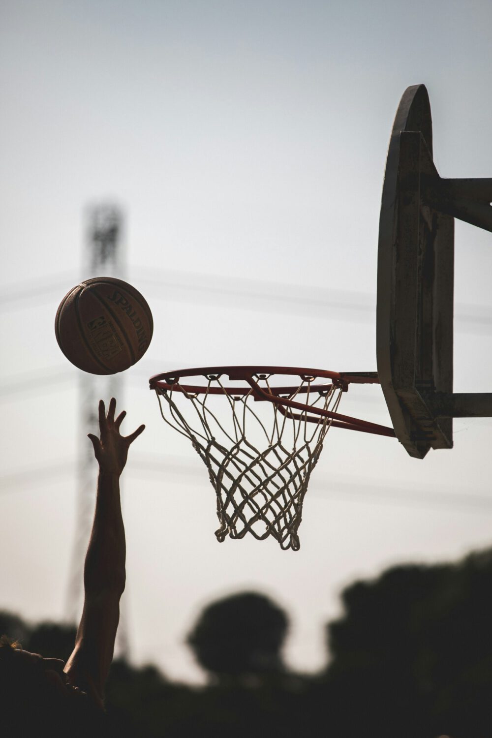 Jetzt Basketball beim SV